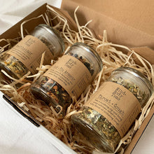 Load image into Gallery viewer, Immunity Teas Gift Pack (FREE tea infuser with large pack!) - Mind + Body Teas